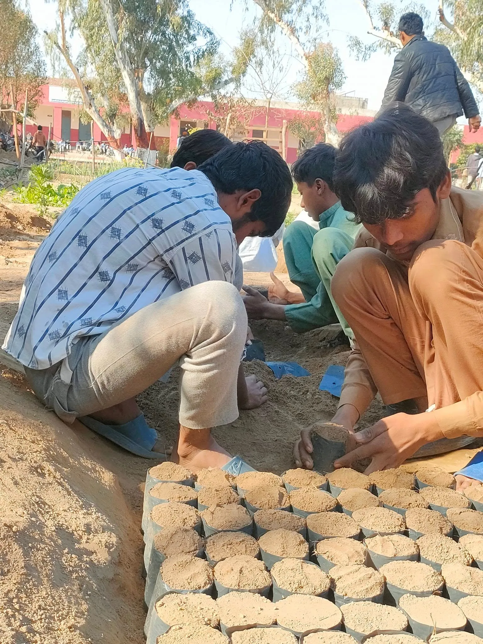 Green Seekers Activity